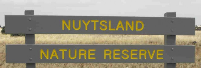 NuytsLand